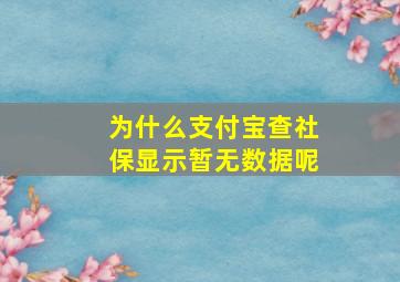 为什么支付宝查社保显示暂无数据呢