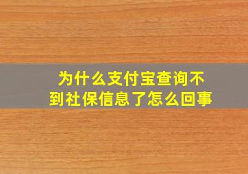 为什么支付宝查询不到社保信息了怎么回事