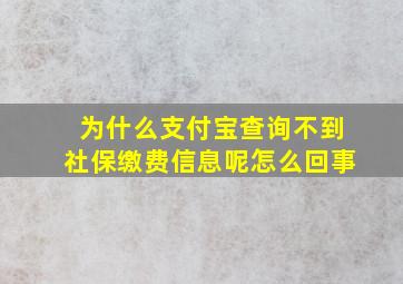 为什么支付宝查询不到社保缴费信息呢怎么回事