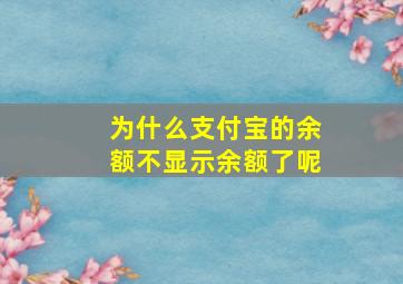 为什么支付宝的余额不显示余额了呢