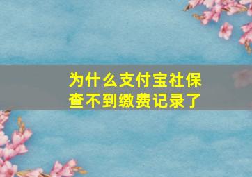 为什么支付宝社保查不到缴费记录了