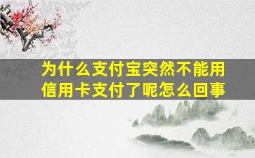 为什么支付宝突然不能用信用卡支付了呢怎么回事