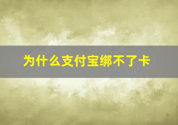 为什么支付宝绑不了卡