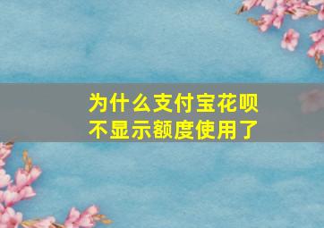 为什么支付宝花呗不显示额度使用了