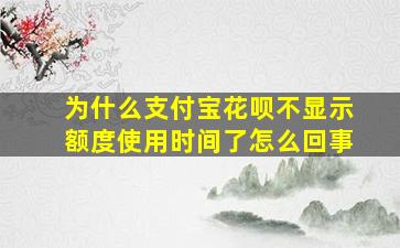 为什么支付宝花呗不显示额度使用时间了怎么回事