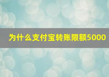 为什么支付宝转账限额5000