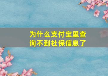 为什么支付宝里查询不到社保信息了