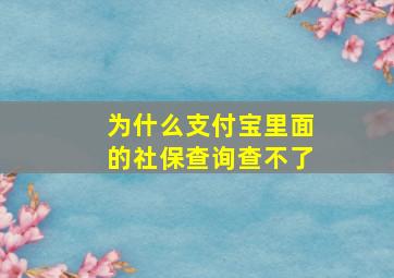 为什么支付宝里面的社保查询查不了