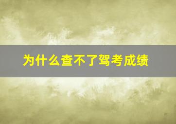 为什么查不了驾考成绩