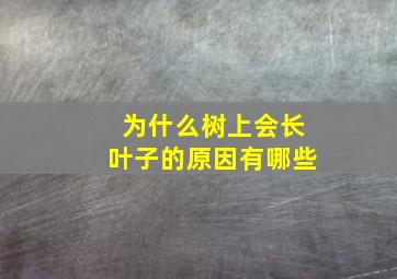 为什么树上会长叶子的原因有哪些