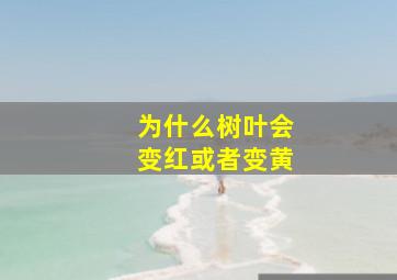 为什么树叶会变红或者变黄