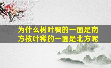 为什么树叶稠的一面是南方枝叶稀的一面是北方呢