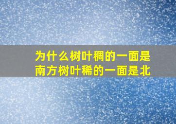 为什么树叶稠的一面是南方树叶稀的一面是北