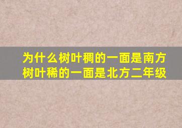 为什么树叶稠的一面是南方树叶稀的一面是北方二年级