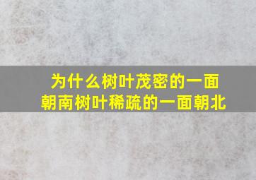 为什么树叶茂密的一面朝南树叶稀疏的一面朝北