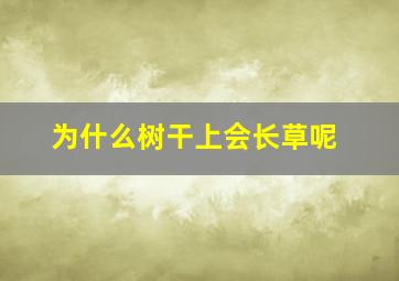 为什么树干上会长草呢