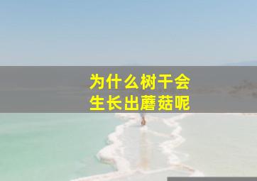 为什么树干会生长出蘑菇呢