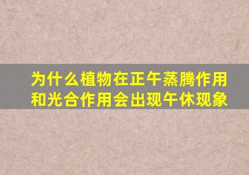 为什么植物在正午蒸腾作用和光合作用会出现午休现象