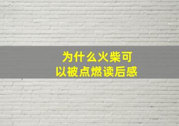 为什么火柴可以被点燃读后感