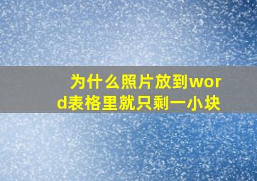 为什么照片放到word表格里就只剩一小块