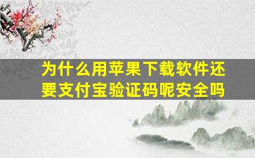 为什么用苹果下载软件还要支付宝验证码呢安全吗