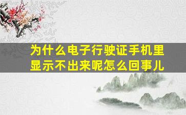 为什么电子行驶证手机里显示不出来呢怎么回事儿