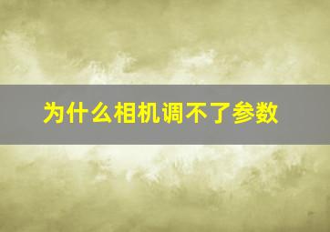 为什么相机调不了参数