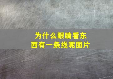 为什么眼睛看东西有一条线呢图片