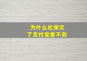 为什么社保交了支付宝查不到