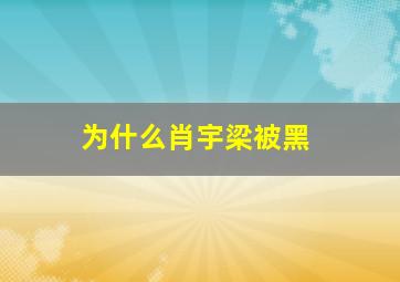 为什么肖宇梁被黑