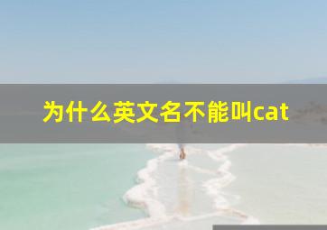 为什么英文名不能叫cat