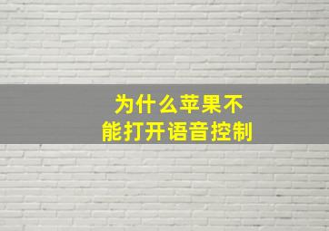 为什么苹果不能打开语音控制