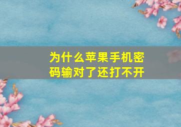 为什么苹果手机密码输对了还打不开