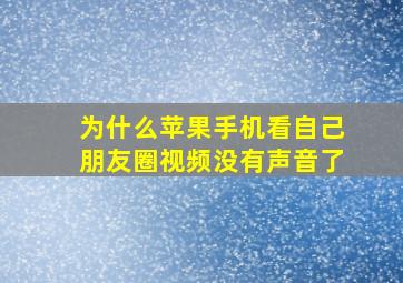 为什么苹果手机看自己朋友圈视频没有声音了