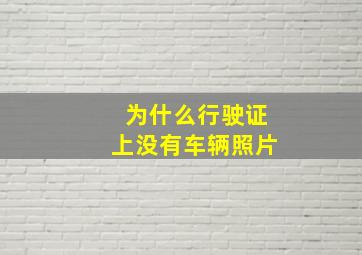 为什么行驶证上没有车辆照片