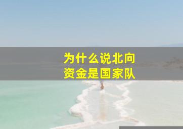 为什么说北向资金是国家队