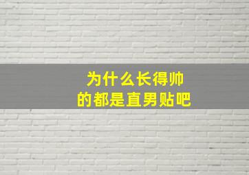 为什么长得帅的都是直男贴吧