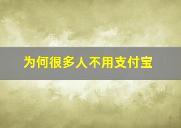 为何很多人不用支付宝