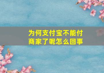 为何支付宝不能付商家了呢怎么回事