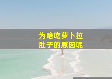 为啥吃萝卜拉肚子的原因呢