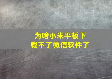 为啥小米平板下载不了微信软件了