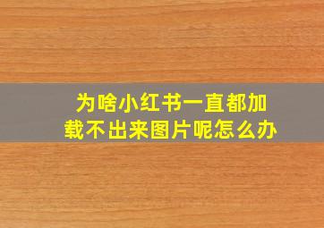 为啥小红书一直都加载不出来图片呢怎么办