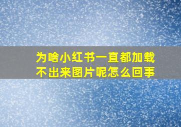 为啥小红书一直都加载不出来图片呢怎么回事