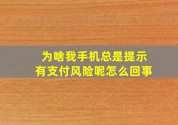 为啥我手机总是提示有支付风险呢怎么回事