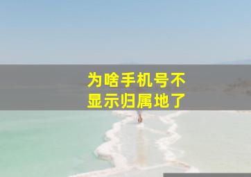 为啥手机号不显示归属地了