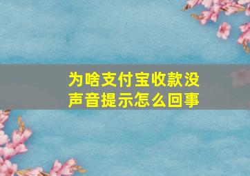 为啥支付宝收款没声音提示怎么回事