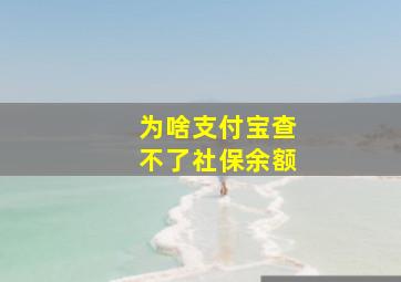 为啥支付宝查不了社保余额