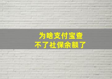 为啥支付宝查不了社保余额了