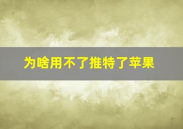 为啥用不了推特了苹果