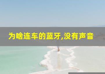 为啥连车的蓝牙,没有声音